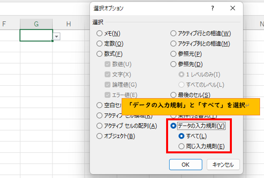 「選択オプション」から「データの入力規則」と「すべて」を選択