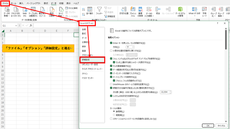 チェックが入っていても表示されない場合は「ファイル」「オプション」「詳細設定」と進む